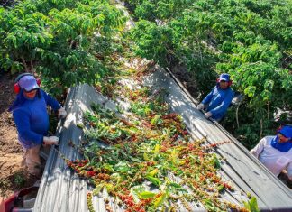 Linhares: fortalecer agricultura familiar é o pilar da gestão do Município para o agronegócio