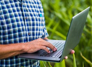 Nota Fiscal Eletrônica traz eficiência, segurança e transparência às atividades do agro capixaba