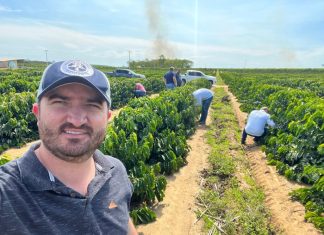 Pinheiros atrai empresas de ponta e se consolida como referência no agronegócio