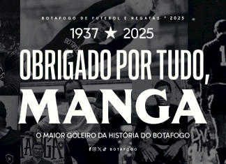 OBRIGADO POR TUDO, MANGA