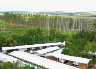 Pinheiros AgroShow 2025 começa nesta quinta-feira (28)