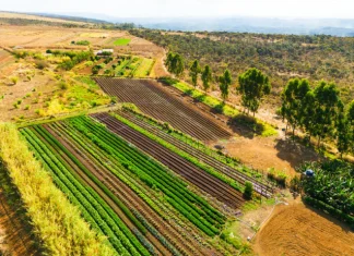 Termina hoje (30) prazo de entrega da declaração do ITR