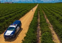 Monitoramento com inteligência artificial ajuda a reduzir crimes durante a safra em Linhares