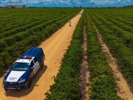 Monitoramento com inteligência artificial ajuda a reduzir crimes durante a safra em Linhares