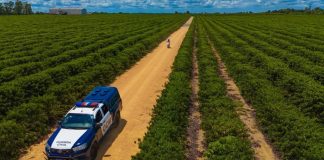 Monitoramento com inteligência artificial ajuda a reduzir crimes durante a safra em Linhares