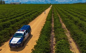 Monitoramento com inteligência artificial ajuda a reduzir crimes durante a safra em Linhares