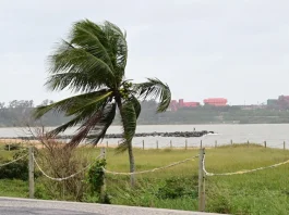 Alerta de ventania atinge 23 cidades do Espírito Santo; veja a lista